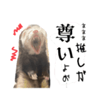 我が家のかわちぃアイドルねるね丸♪すち♡（個別スタンプ：8）