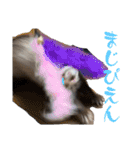 我が家のかわちぃアイドルねるね丸♪すち♡（個別スタンプ：13）