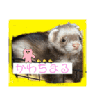 我が家のかわちぃアイドルねるね丸♪すち♡（個別スタンプ：17）