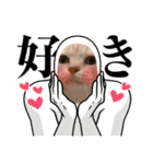 我が家のかわちぃアイドルねるね丸♪すち♡（個別スタンプ：24）