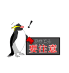 キンベンなペンギン（個別スタンプ：14）