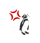 キンベンなペンギン（個別スタンプ：27）