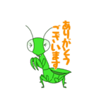 カマキリのマキちゃん（個別スタンプ：6）