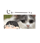 FAMILY（空の彼女）（個別スタンプ：19）