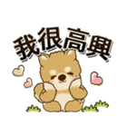 柴犬・ちゃちゃ丸 『台湾の言葉』（個別スタンプ：7）