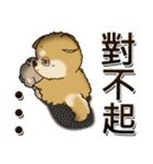 柴犬・ちゃちゃ丸 『台湾の言葉』（個別スタンプ：22）