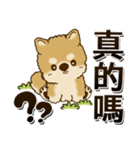 柴犬・ちゃちゃ丸 『台湾の言葉』（個別スタンプ：23）