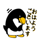 taiki's ペンギンスタンプ（個別スタンプ：1）