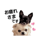 キキララルルニコニコスタンプ（個別スタンプ：10）