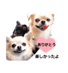 キキララルルニコニコスタンプ（個別スタンプ：23）