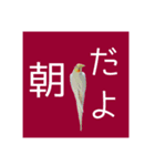 オカメインコの「こゆきちゃん」の朝（個別スタンプ：8）