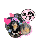 わんこのよく使うあいさつ（個別スタンプ：5）