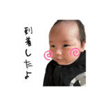 しきすた1（個別スタンプ：15）