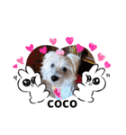 可愛い白犬（個別スタンプ：6）