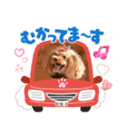 Dog School ∞ Eight（個別スタンプ：10）