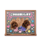 Dog School ∞ Eight（個別スタンプ：12）