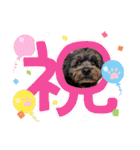 Dog School ∞ Eight（個別スタンプ：28）