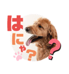 Dog School ∞ Eight（個別スタンプ：32）