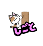 まるネコ LINEスタンプ（個別スタンプ：13）