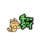 まるネコ LINEスタンプ（個別スタンプ：14）