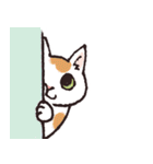 いろんな柄の猫（個別スタンプ：14）