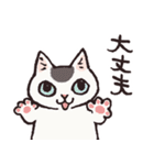 いろんな柄の猫（個別スタンプ：16）