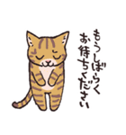 いろんな柄の猫（個別スタンプ：17）