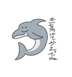 イルカのやつ（個別スタンプ：37）