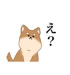 麦八兵衛 (柴犬)2（個別スタンプ：39）