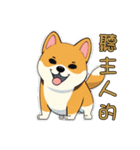 柴犬は最も可愛いです（個別スタンプ：15）