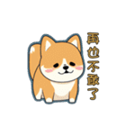 柴犬は最も可愛いです（個別スタンプ：30）