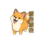 柴犬は最も可愛いです（個別スタンプ：32）