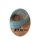 小粒コレクション（個別スタンプ：1）