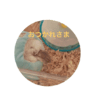 小粒コレクション（個別スタンプ：2）