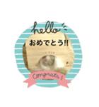 小粒コレクション（個別スタンプ：4）