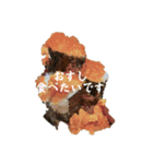 お食事提案スタンプ（個別スタンプ：4）