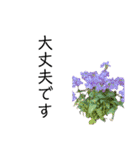 花のスタンプ 大人言葉（個別スタンプ：40）