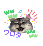 ねこの銀次くん2（個別スタンプ：4）
