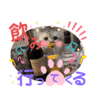 ねこの銀次くん2（個別スタンプ：8）