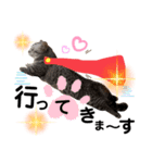 ねこの銀次くん2（個別スタンプ：21）