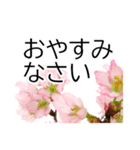 *花*桜 ていねいVer.（個別スタンプ：8）