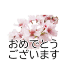 *花*桜 ていねいVer.（個別スタンプ：12）