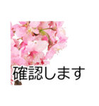 *花*桜 ていねいVer.（個別スタンプ：16）