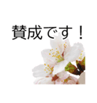 *花*桜 ていねいVer.（個別スタンプ：18）