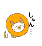 ねこ茸【修正版】（個別スタンプ：18）