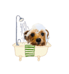 ヨーキーにこの にこにこ日和（個別スタンプ：3）