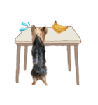 ヨーキーにこの にこにこ日和（個別スタンプ：23）