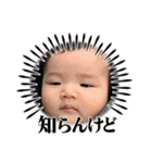 西村家の菫ちゃん2（個別スタンプ：1）