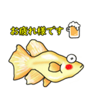 メダカ 黄金ヒカリダルマ（個別スタンプ：16）