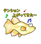 メダカ 黄金ヒカリダルマ（個別スタンプ：20）